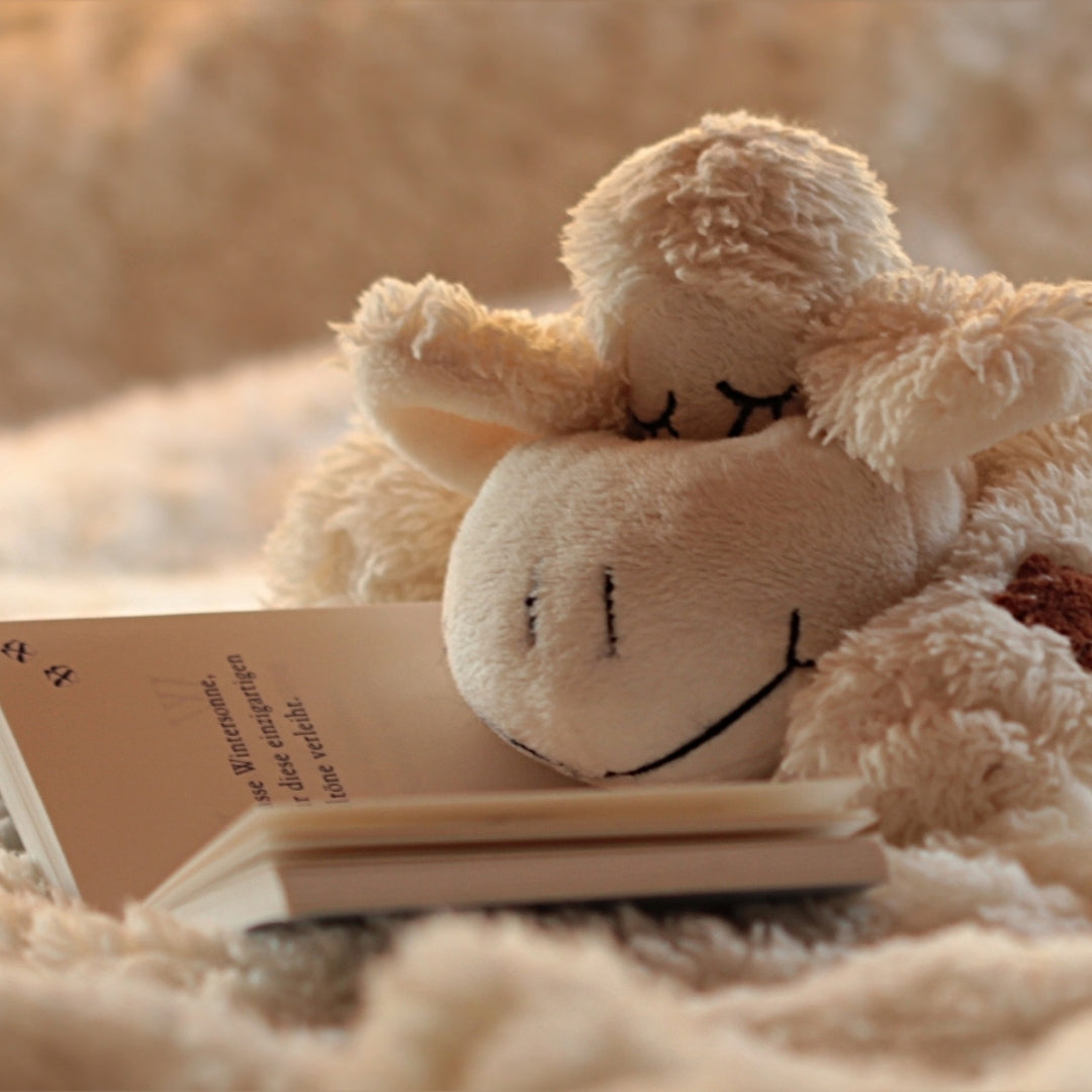 Holiday Scented Shower Steamers