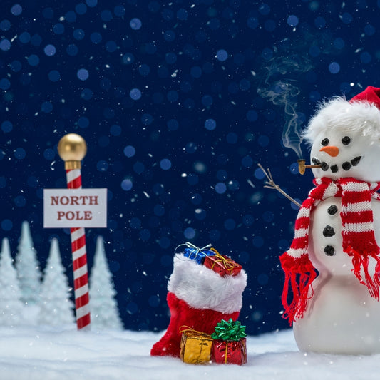 Holiday Scented Shower Steamers