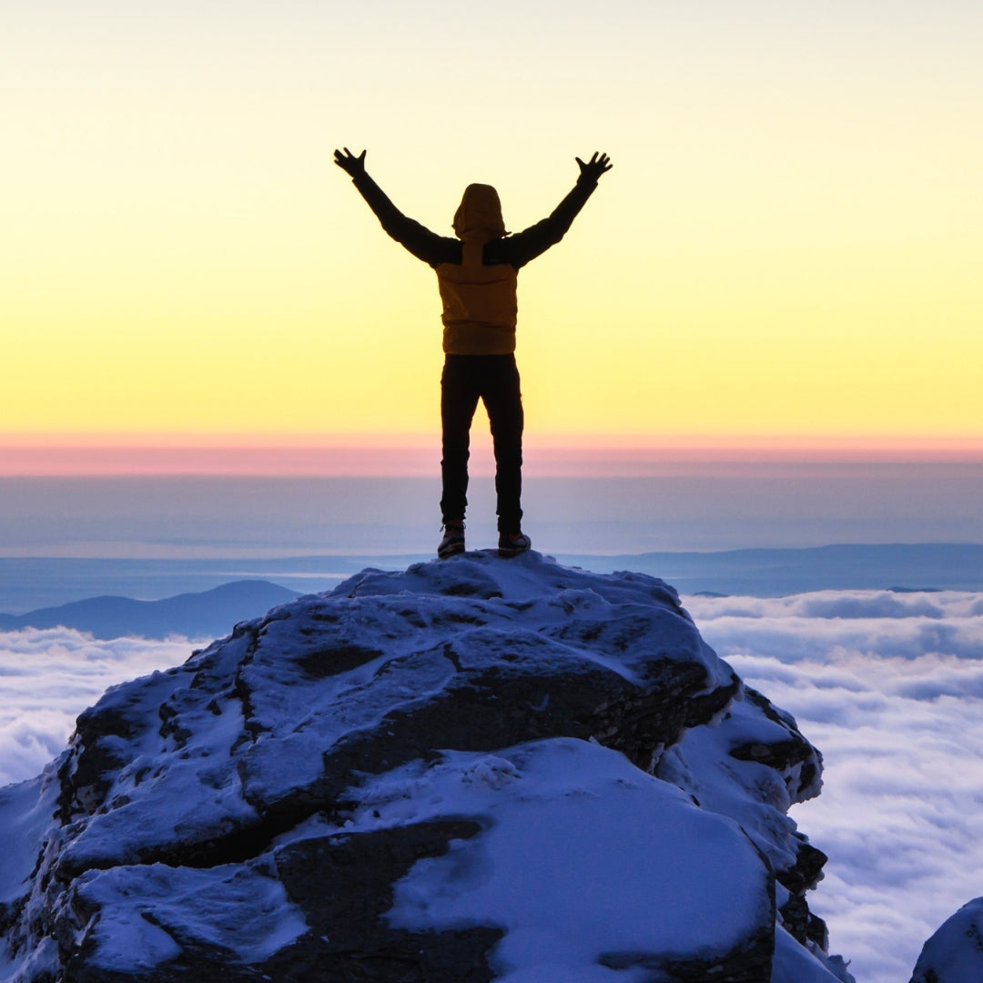 Herbal Scented Shower Steamers