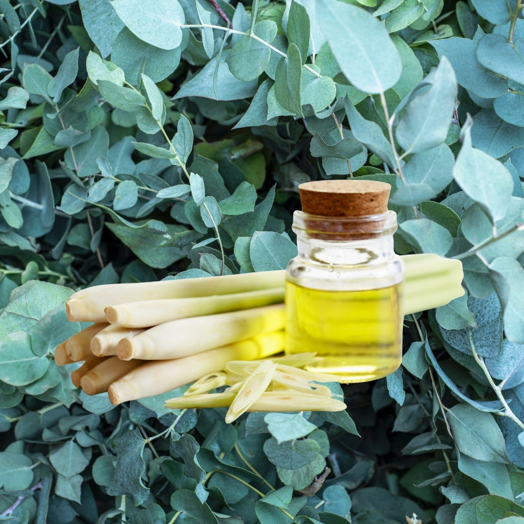 Herbal Scented Shower Steamers