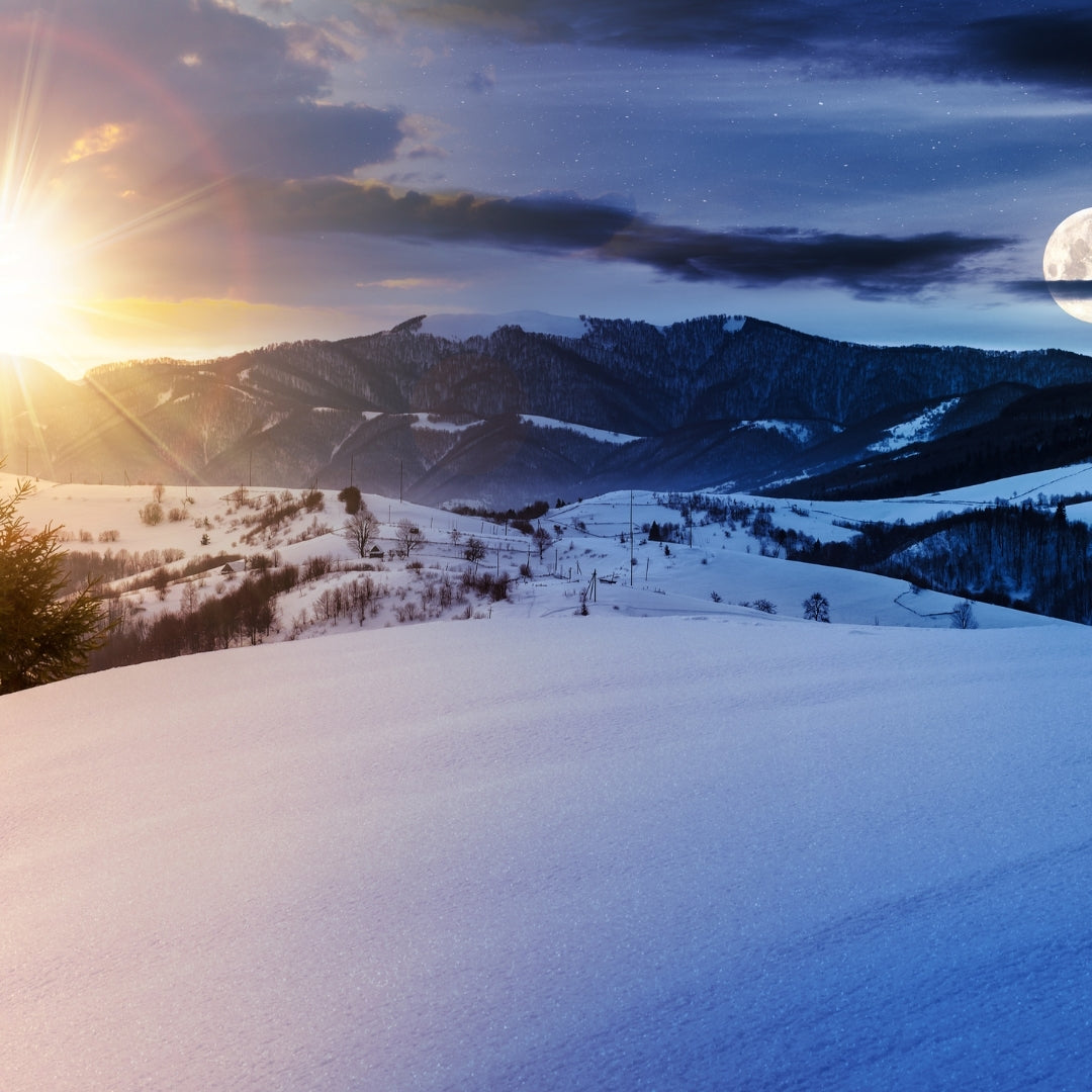 Holiday Scented Shower Steamers