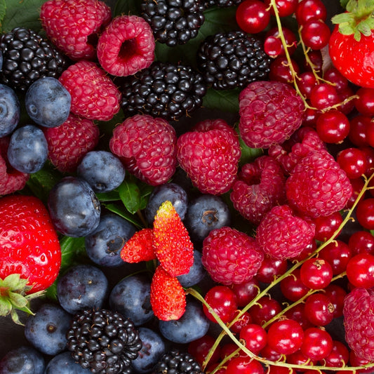 Fruity Scented Shower Steamers