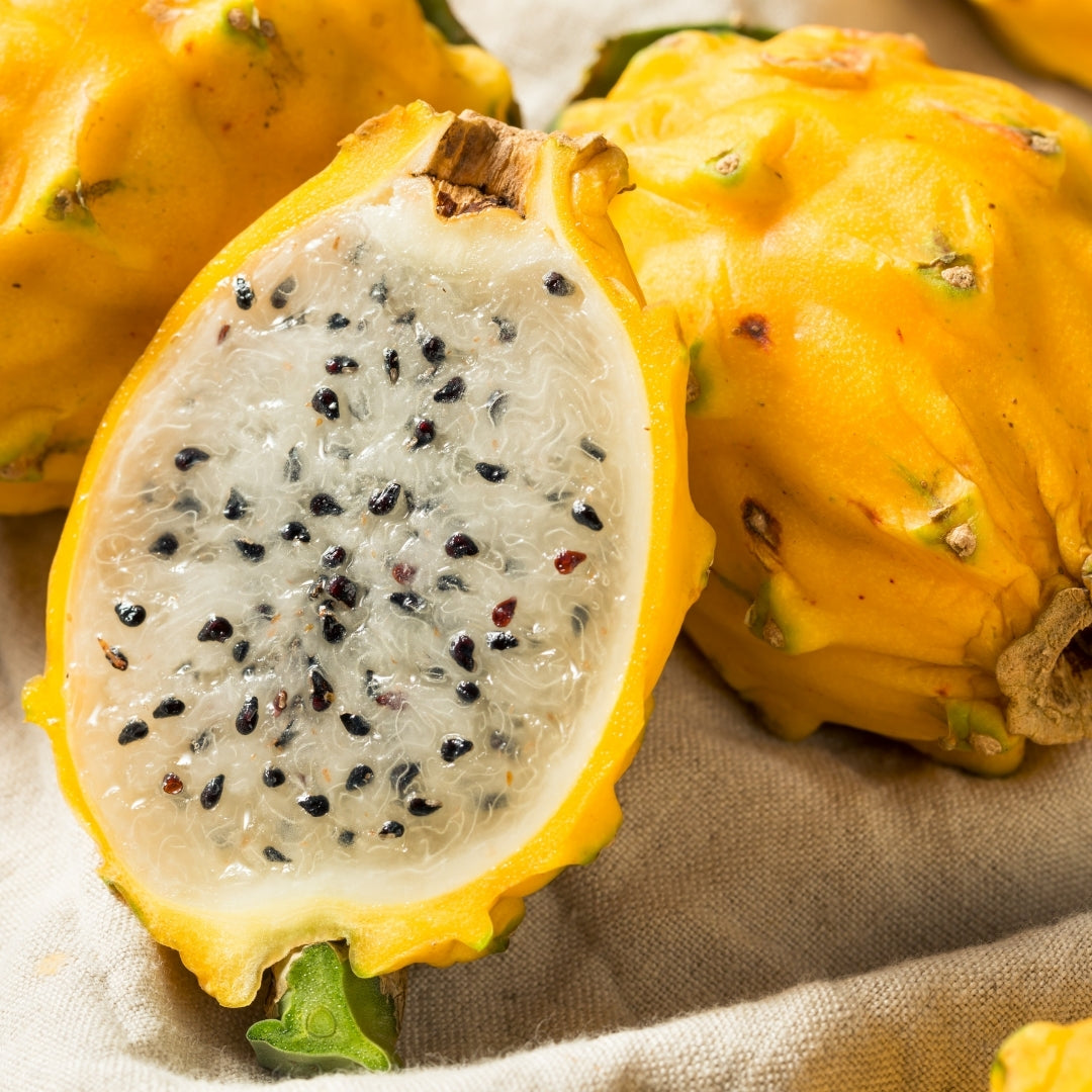 Fruity Scented Shower Steamers