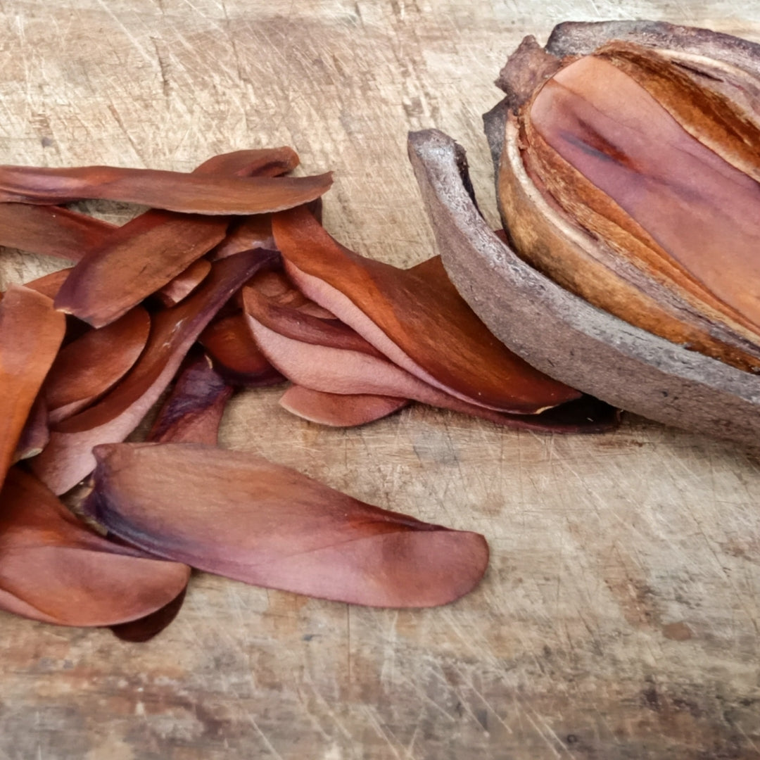 Masculine Scented Shower Steamers