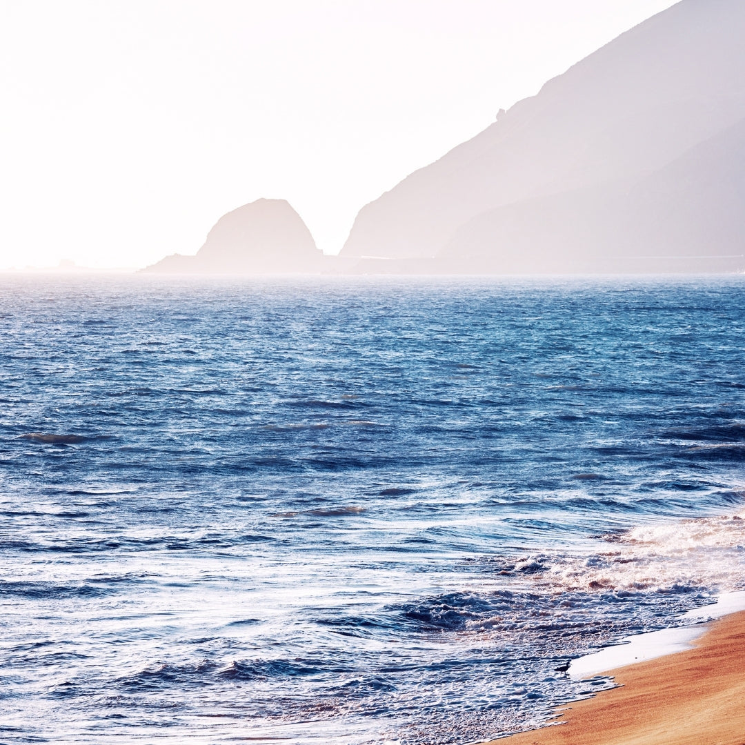 Masculine Scented Shower Steamers